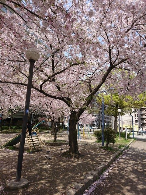 浪速公園